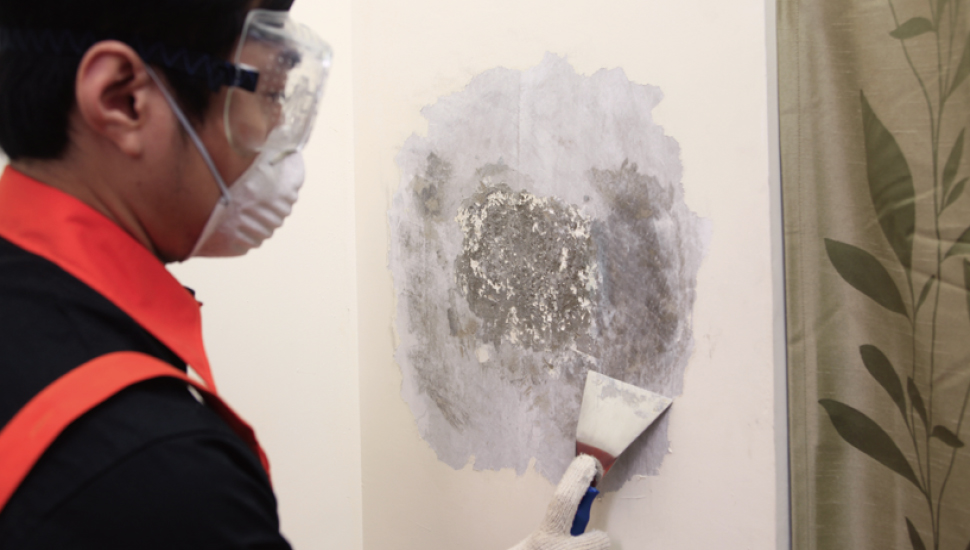 牆面發霉油漆剝落如何修補壁癌